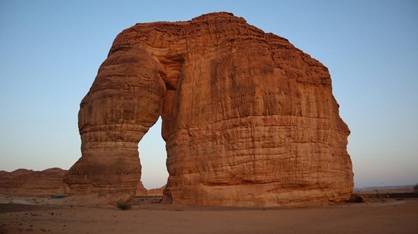 العلا